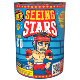 Firework Fountains Seeing Stars