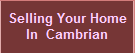 Thinking of Selling your Home in Cambrian - Why use the  Silicon Valley Real Estate Team to sell your home!